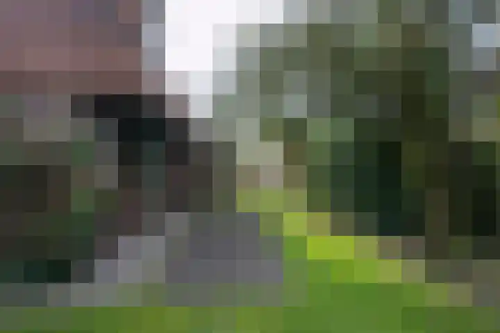 Groeneweg 29 Eerbeek thumbnail 29