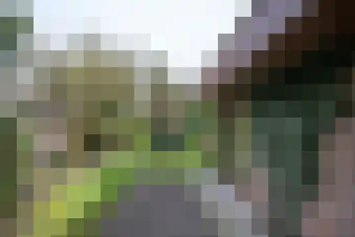 Groeneweg 29 Eerbeek thumbnail 30