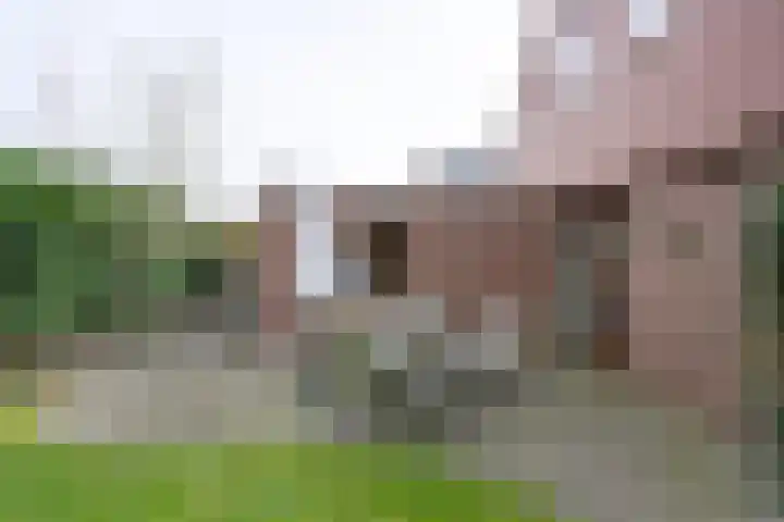 Groeneweg 29 Eerbeek thumbnail 31
