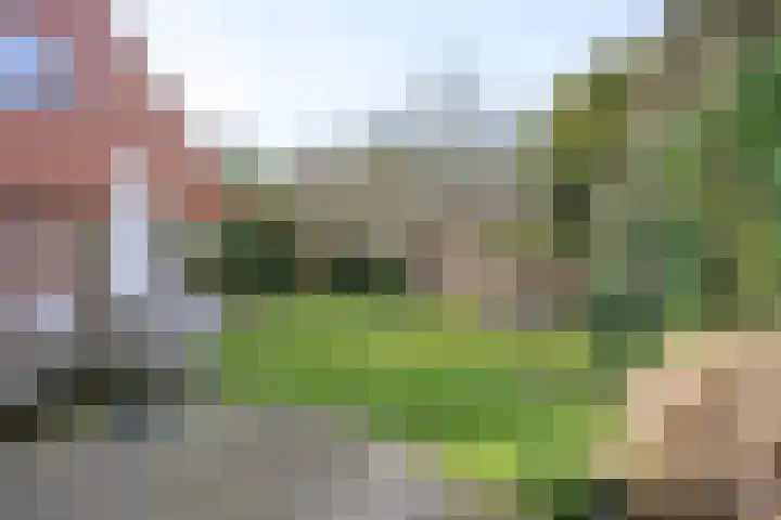 Groeneweg 29 Eerbeek thumbnail 32