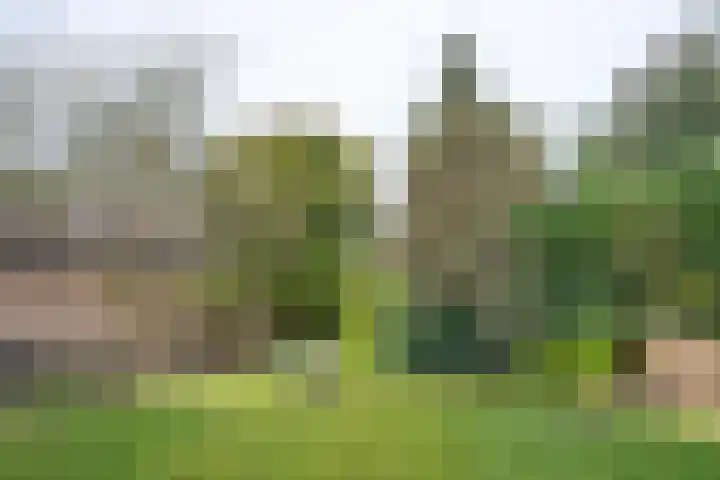 Groeneweg 29 Eerbeek thumbnail 4