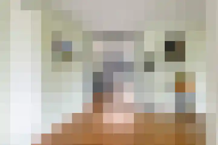 Groeneweg 8 Hummelo thumbnail 23