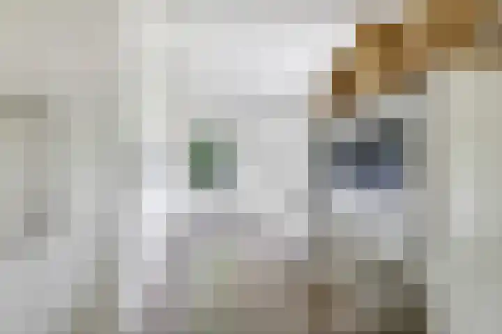 Groeneweg 8 Hummelo thumbnail 47