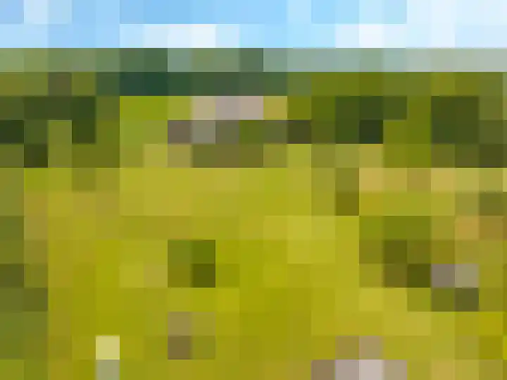 Groeneweg 8 Hummelo thumbnail 68