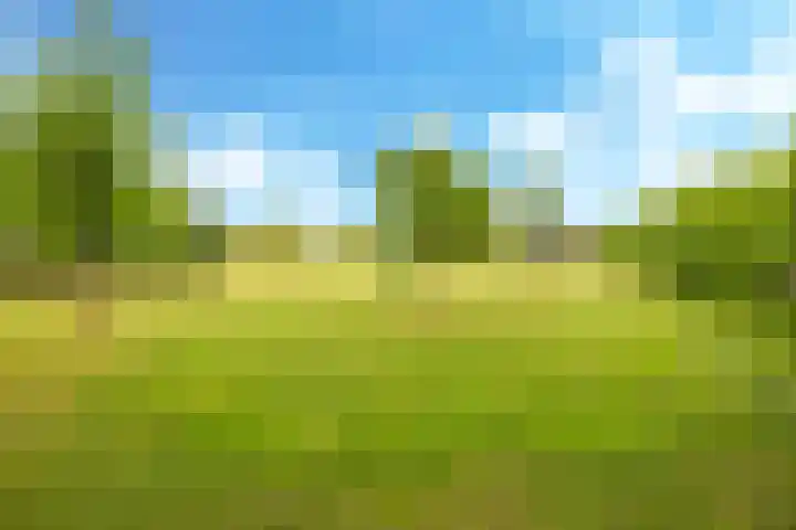 Groeneweg 8 Hummelo thumbnail 75