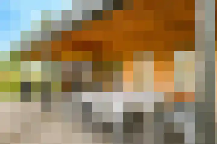 Groeneweg 8 Hummelo thumbnail 79
