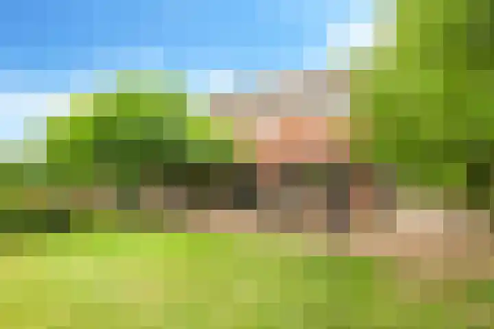 Groeneweg 8 Hummelo thumbnail 8