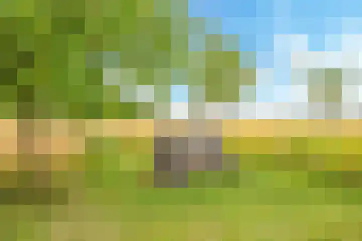 Groeneweg 8 Hummelo thumbnail 82