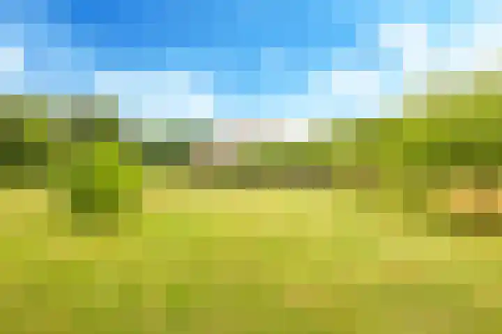 Groeneweg 8 Hummelo thumbnail 84