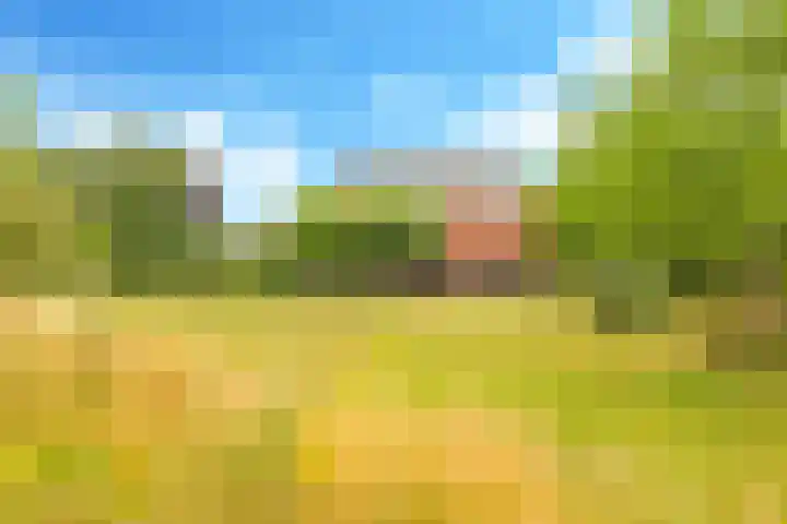 Groeneweg 8 Hummelo thumbnail 86