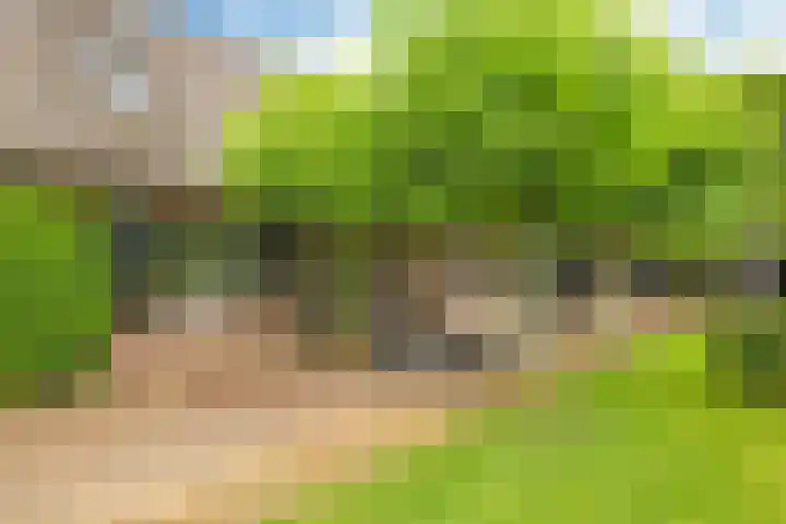 Groeneweg 8 Hummelo thumbnail 89