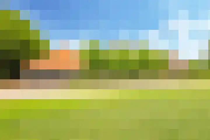 Groeneweg 8 Hummelo thumbnail 94