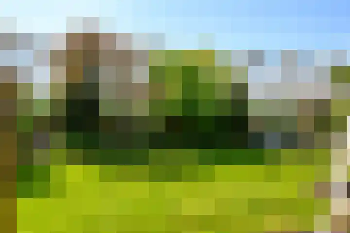 Groeneweg 85 's-Gravenzande thumbnail 10