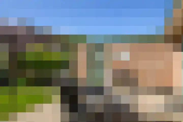 Groeneweg 85 's-Gravenzande thumbnail 13