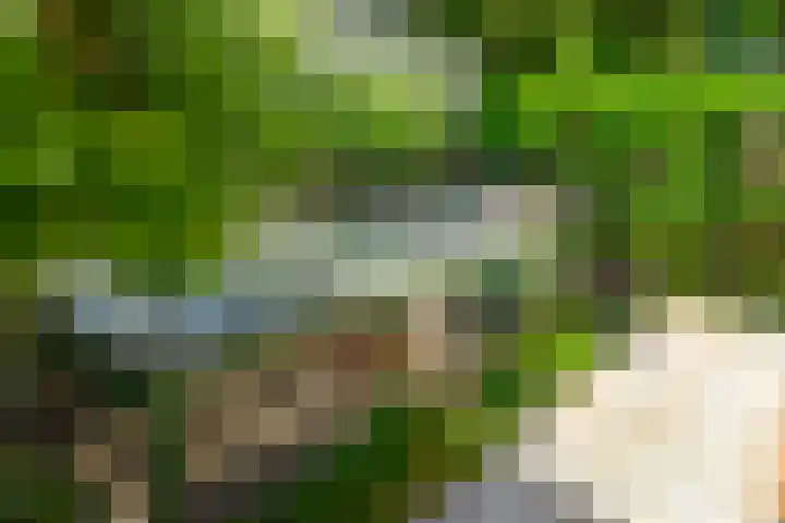Groeneweg 85 's-Gravenzande thumbnail 15