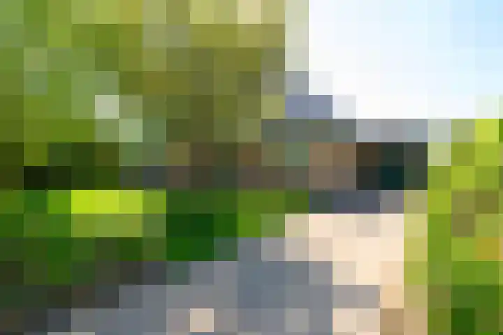 Groeneweg 85 's-Gravenzande thumbnail 33