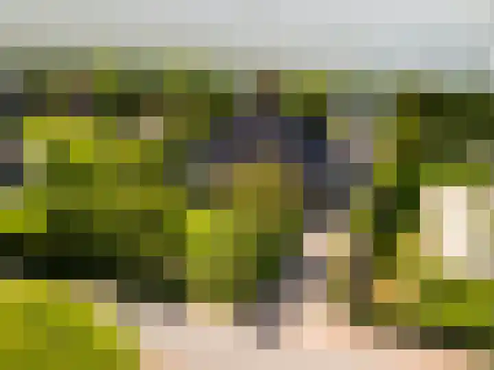 Groeneweg 85 's-Gravenzande thumbnail 48