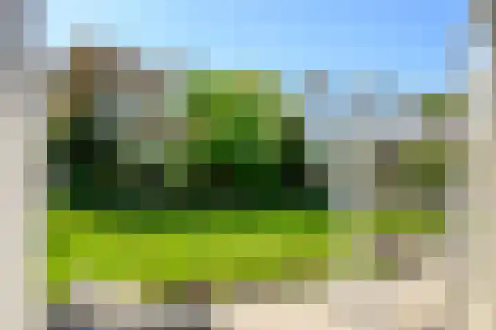 Groeneweg 85 's-Gravenzande thumbnail 9