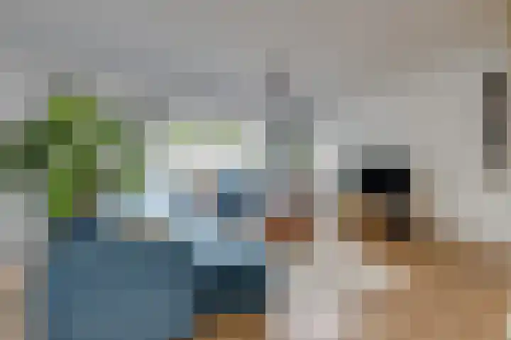 Groeneweide 1 Duiven thumbnail 12