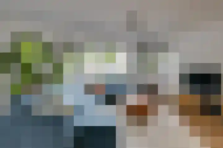 Groeneweide 1 Duiven thumbnail 13
