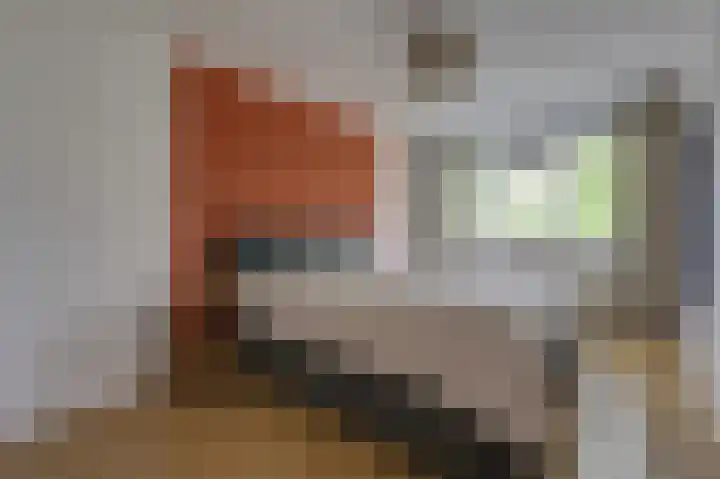 Groeneweide 1 Duiven thumbnail 39