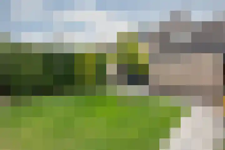 Groeneweide 1 Duiven thumbnail 60