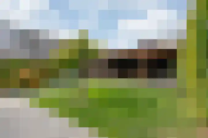 Groeneweide 1 Duiven thumbnail 63