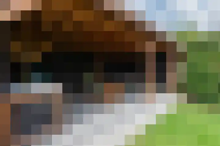 Groeneweide 1 Duiven thumbnail 65