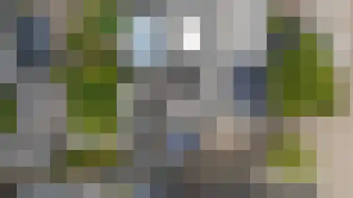 Groeneweide 1 Duiven thumbnail 70