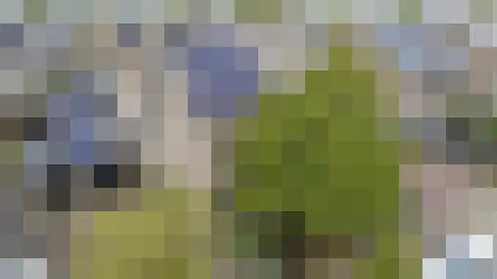 Groeneweide 1 Duiven thumbnail 71
