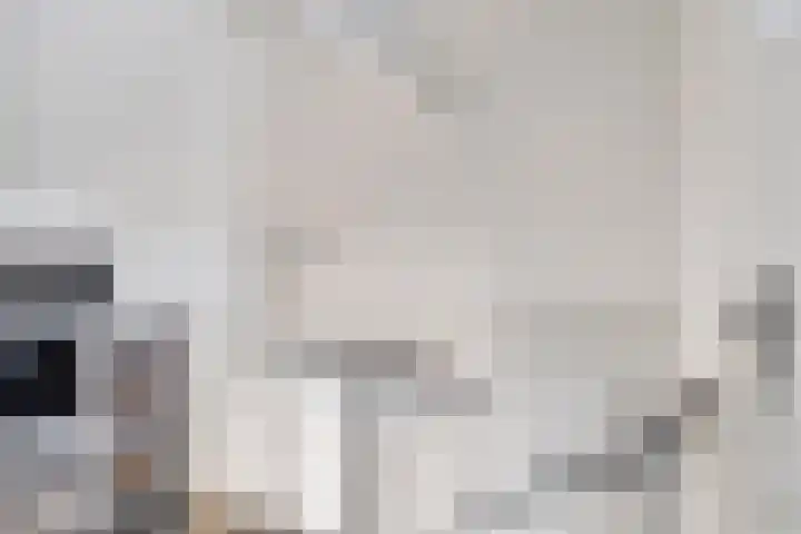Groenewoud 18 Deurne thumbnail 21