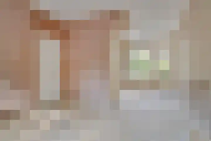 Groenezoom 33 Rotterdam thumbnail 13