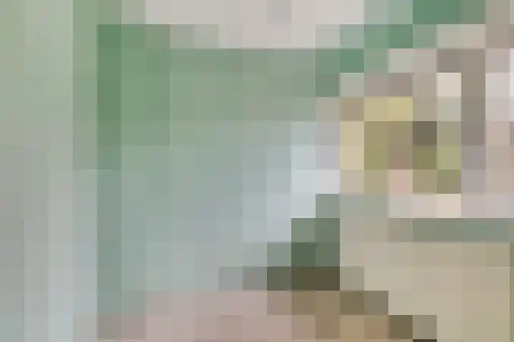 Groenezoom 33 Rotterdam thumbnail 22