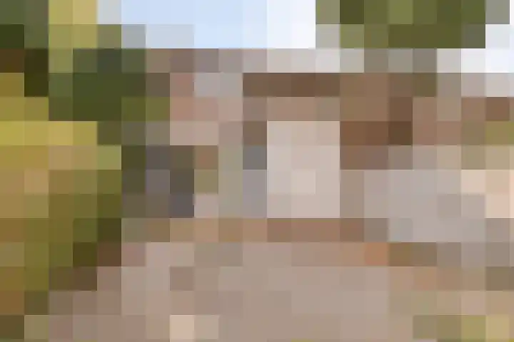Groenezoom 33 Rotterdam thumbnail 28