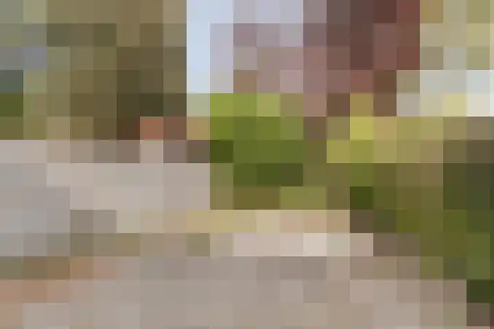 Groenezoom 33 Rotterdam thumbnail 29