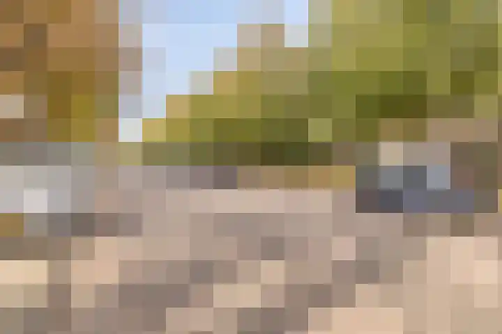 Groenezoom 33 Rotterdam thumbnail 30