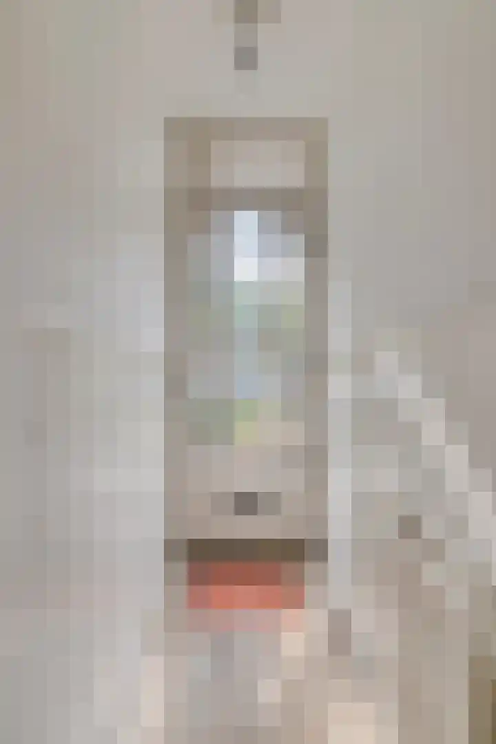 Groenezoom 33 Rotterdam thumbnail 4
