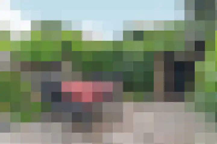 Groenhof 23 Almere thumbnail 28
