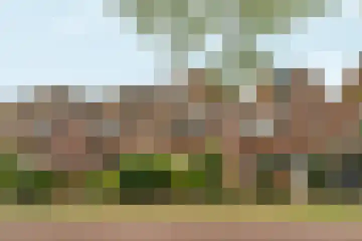 Groenhof 23 Almere thumbnail 31