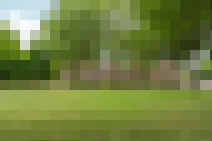 Groenhof 23 Almere thumbnail 32