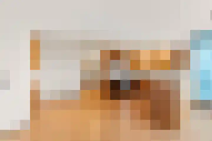 Groenhoven 115 Amsterdam thumbnail 4