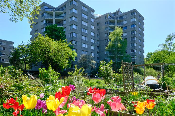 Groenhoven 534 in Amsterdam foto