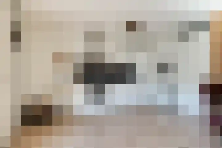 Groenhoven 8 Obdam thumbnail 10