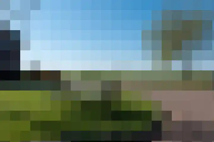 Groenhoven 8 Obdam thumbnail 4