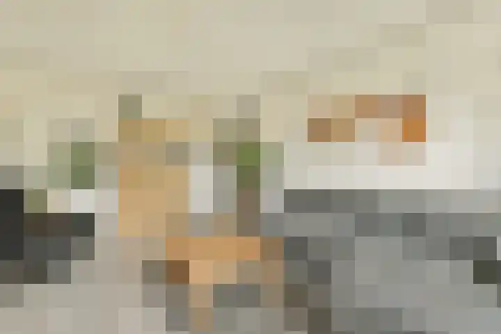 Groenhoven 819 Amsterdam thumbnail 11