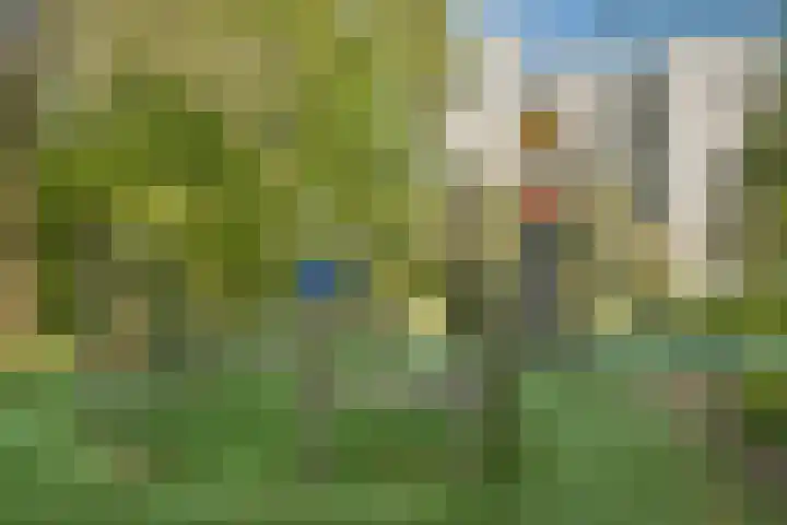 Groenhoven 819 Amsterdam thumbnail 19