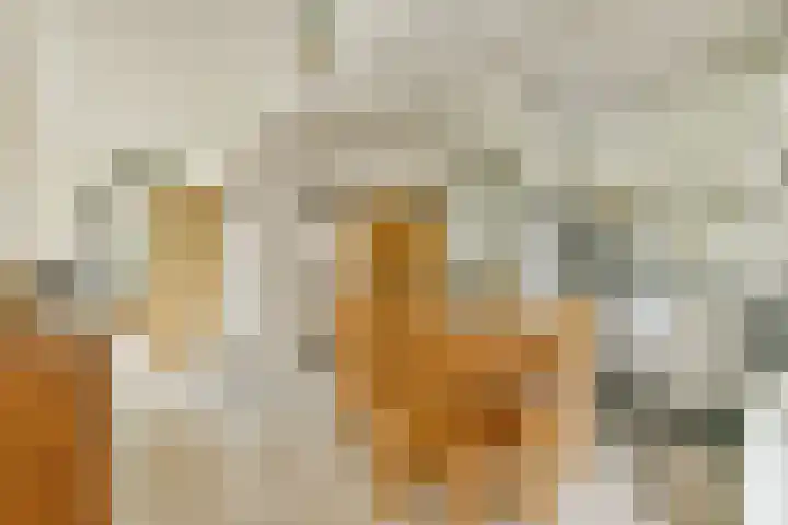 Groenhoven 819 Amsterdam thumbnail 7