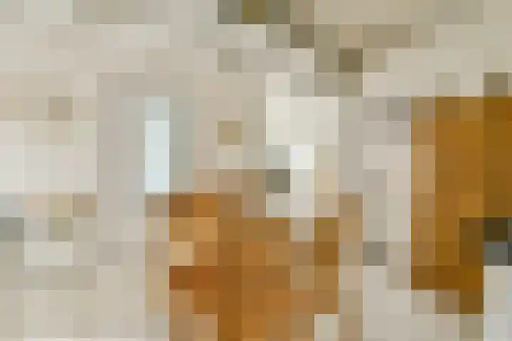Groenhoven 819 Amsterdam thumbnail 8