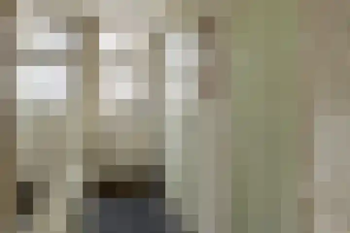 Groenland 5 Edam thumbnail 12