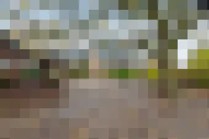 Groenland 5 Edam thumbnail 17